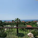 Katerina's Garden