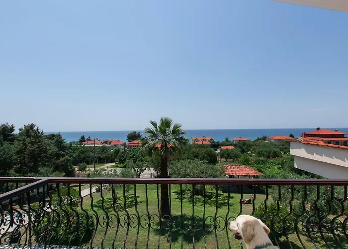 Katerina's Garden