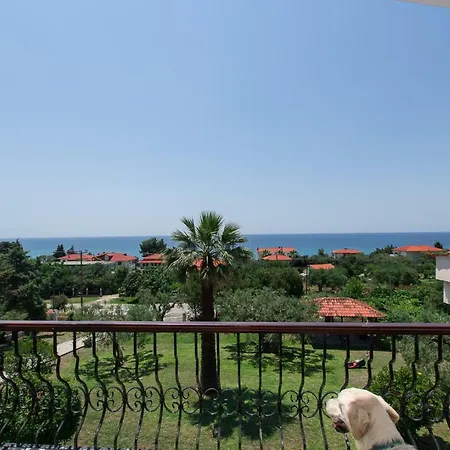 Katerina's Garden