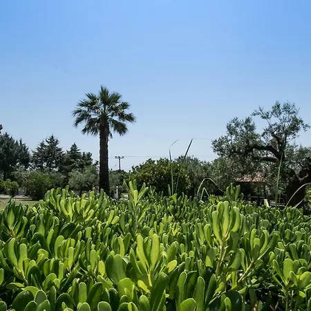 Katerina's Garden مولا كاليفا